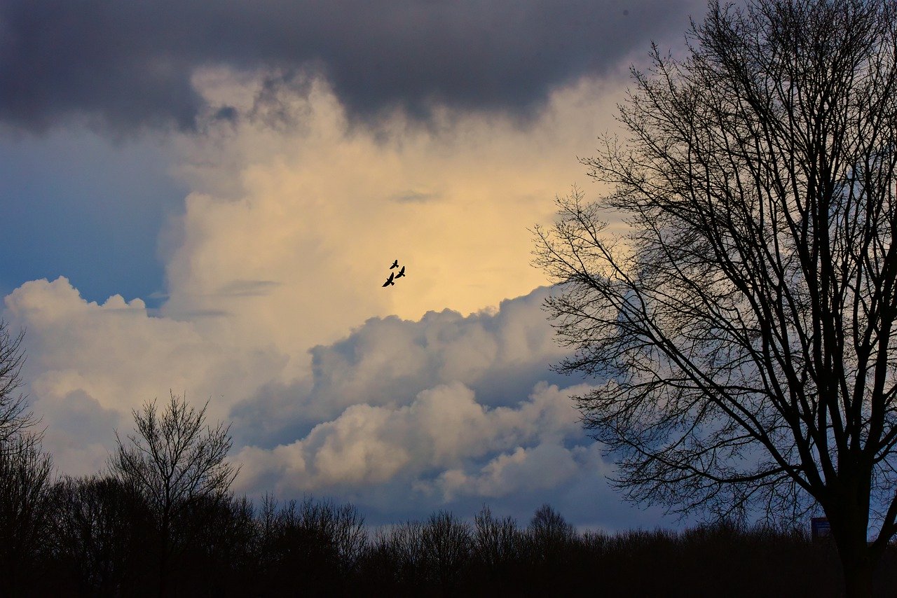 sky, clouds, sunset