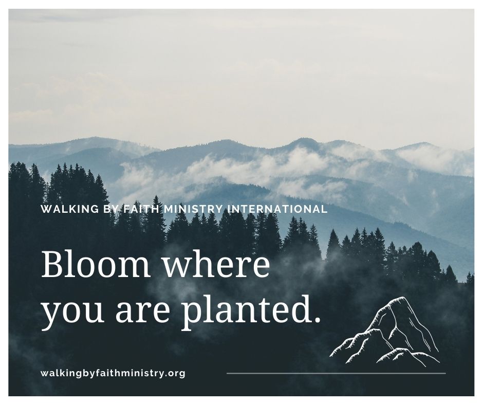 Walking by faith ministry international